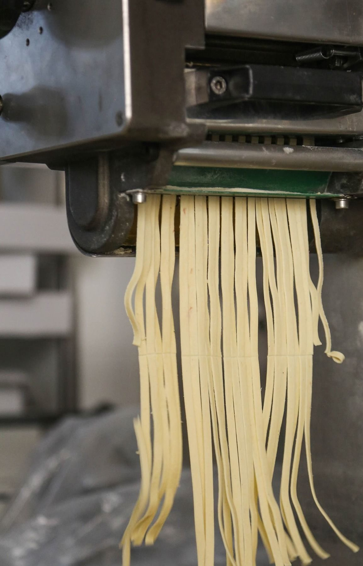 Macchina per la pasta che estrude tagliatelle fresche e piatte. Primo piano della pasta beige chiara che cade.