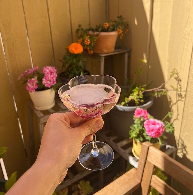 Sparkling Wine with Pink Pitaya in the garden
