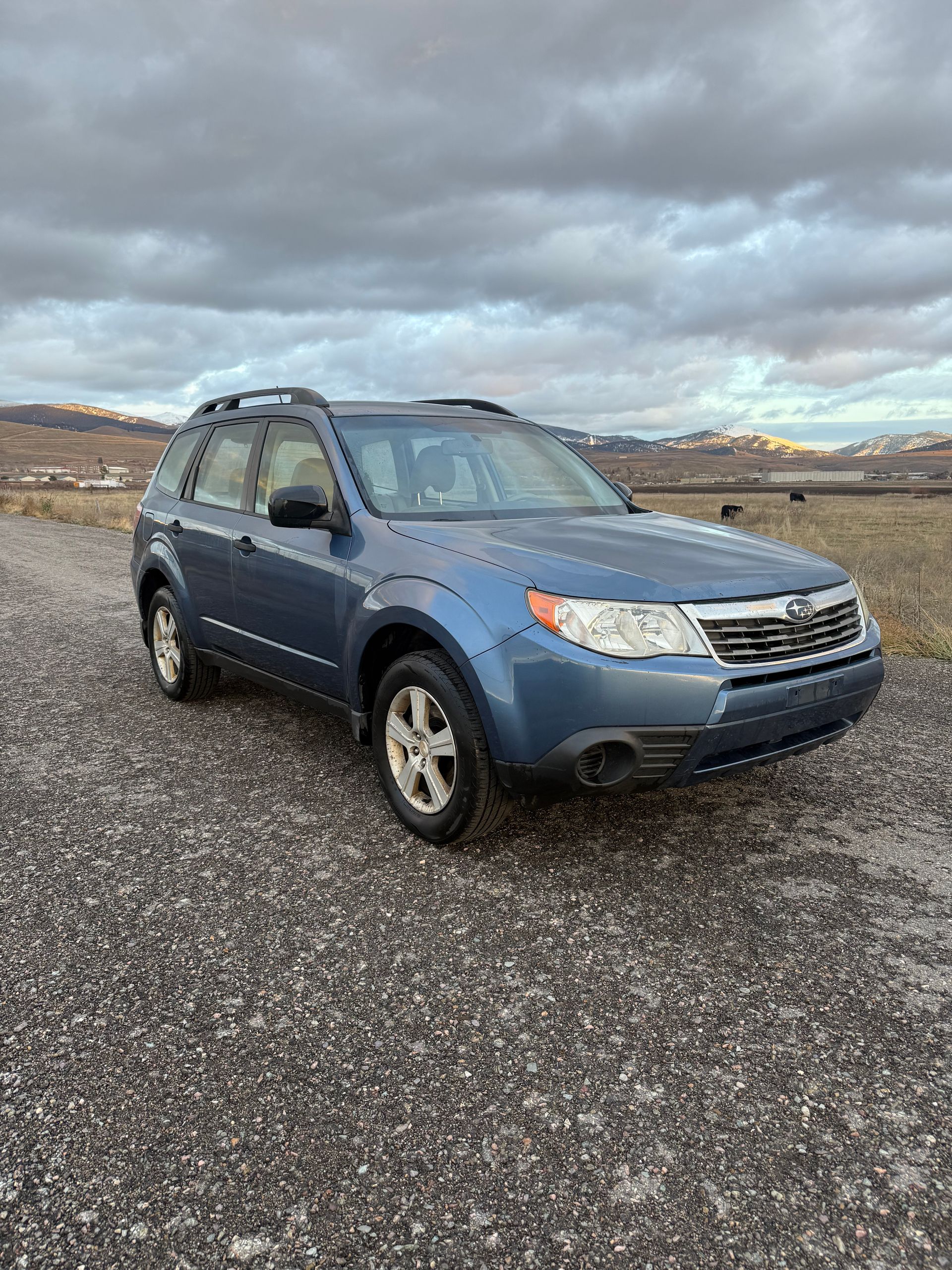 Blue Subaru Forester parked on a gravel road, overcast sky in the background.