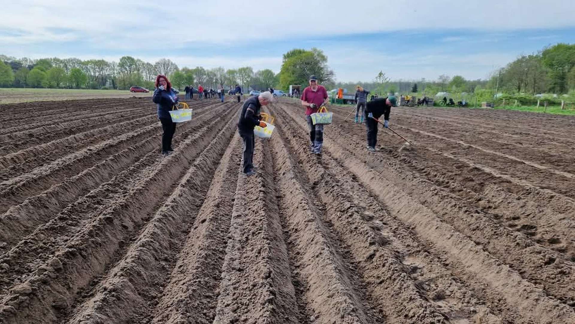 Een groep mensen werkt op een veld.
