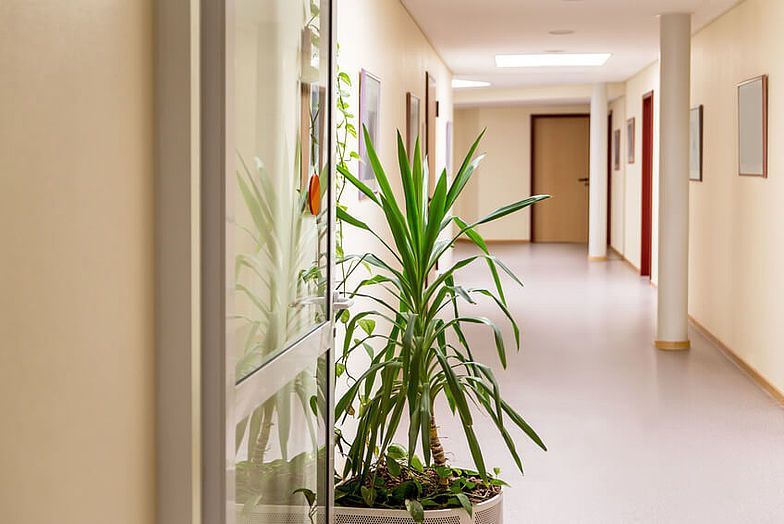 Reha-Einrichtungen+Reinheit+-+Sauberkeit+GmbH
