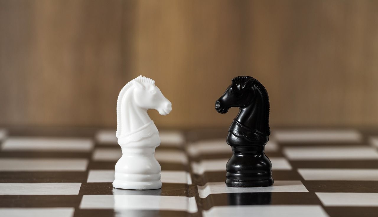 Photo of two chess pieces on a chess board. One black, one white.