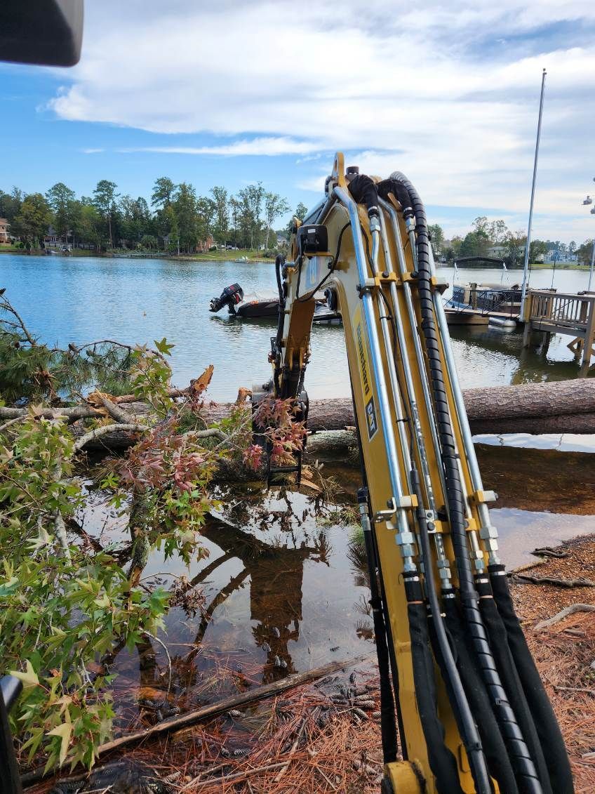 tree limb removal chapin sc
