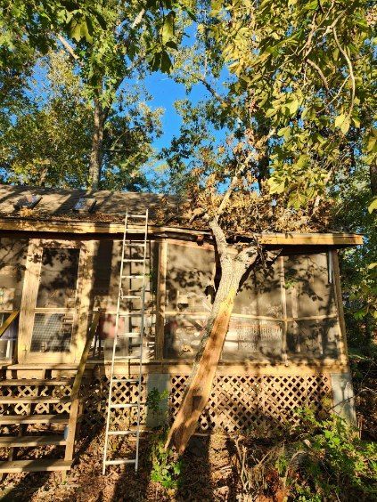 storm damage chapin sc