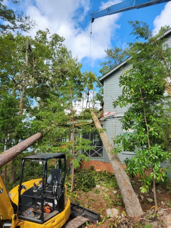 storm damage chapin sc