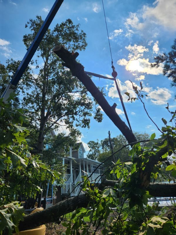 storm damage chapin sc