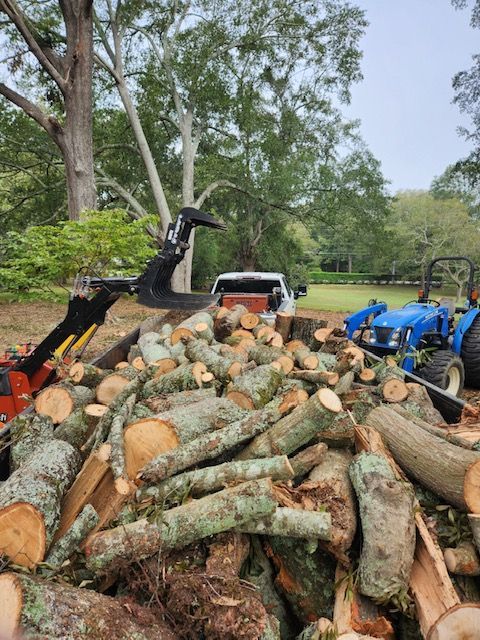 storm damage chapin sc