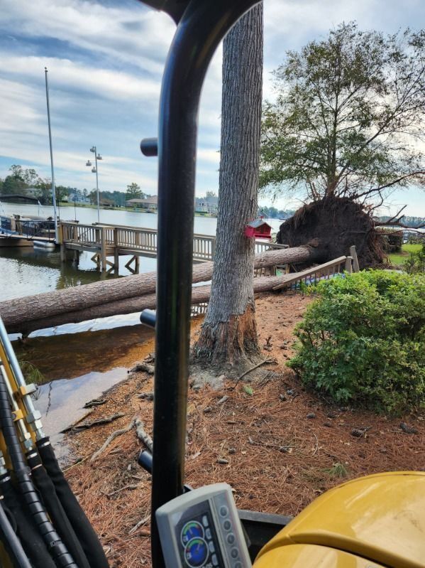 removing fallen trees from storms chapin sc