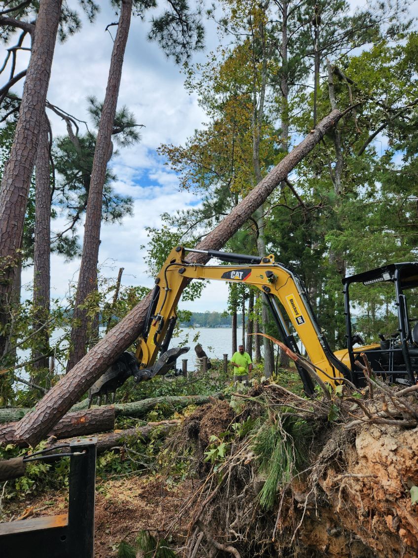 tree limb removal chapin sc