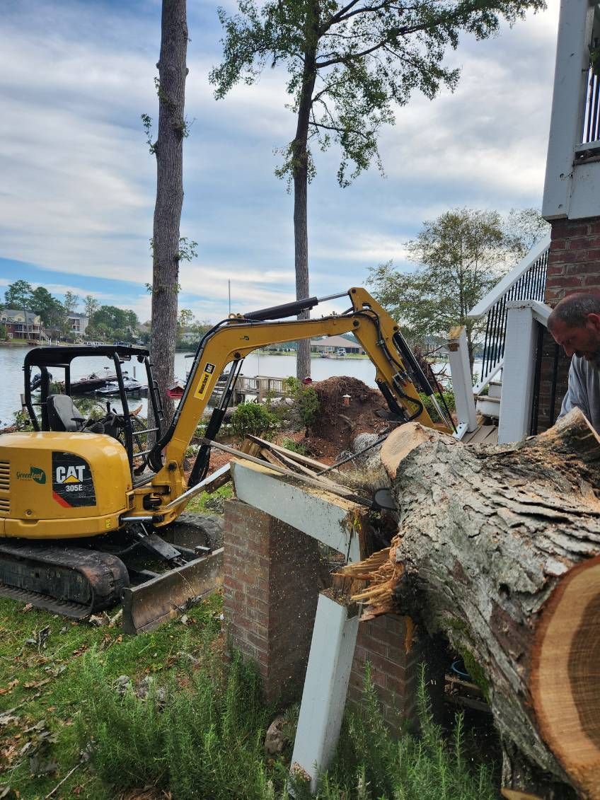 tree limb removal chapin sc