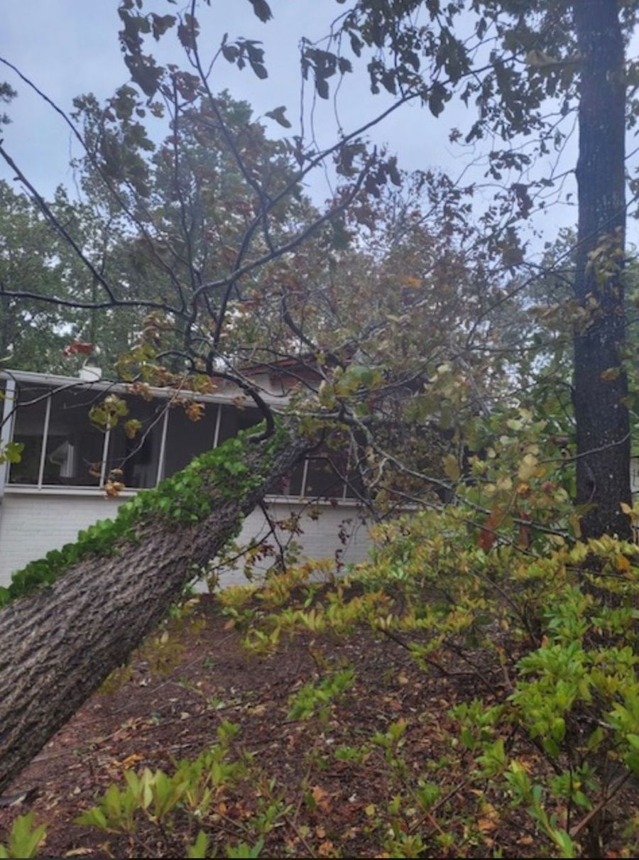 Chapin, SC Tree Service Near Me Green Leaf Landscaping