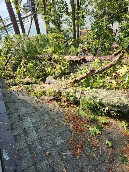 removing fallen trees from storms chapin sc