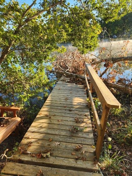 removing fallen trees from storms chapin sc