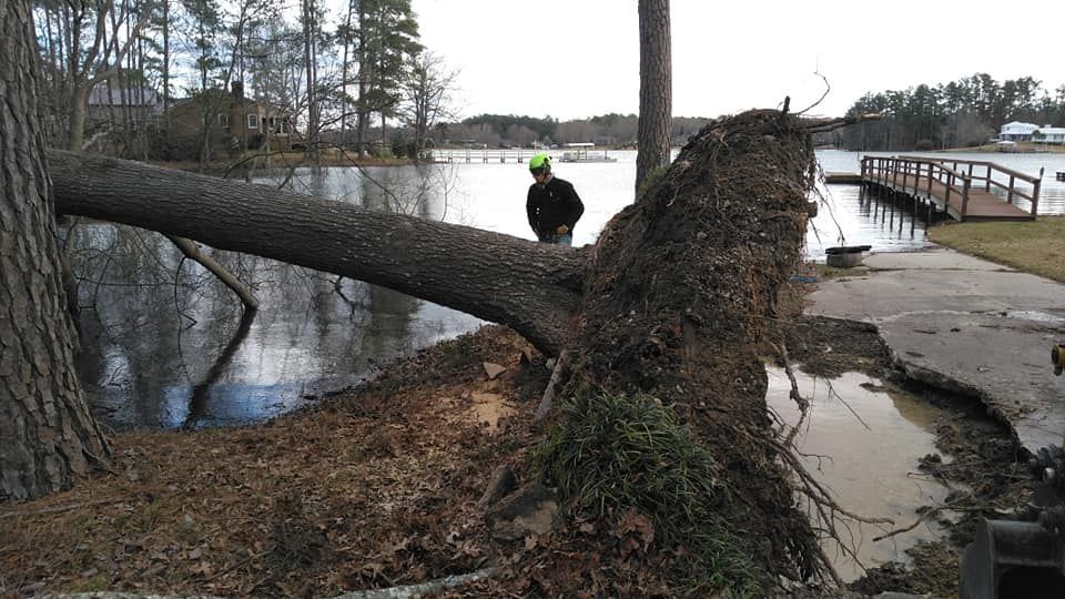 storm damage tree removal in Chapin, South Carolina