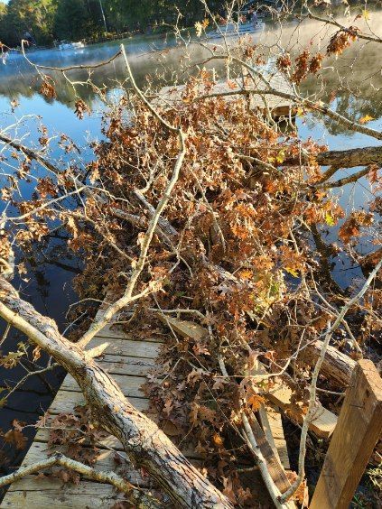 storm damage chapin sc