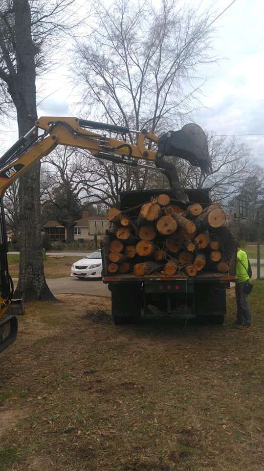tree hauling service in Chapin, South Carolina