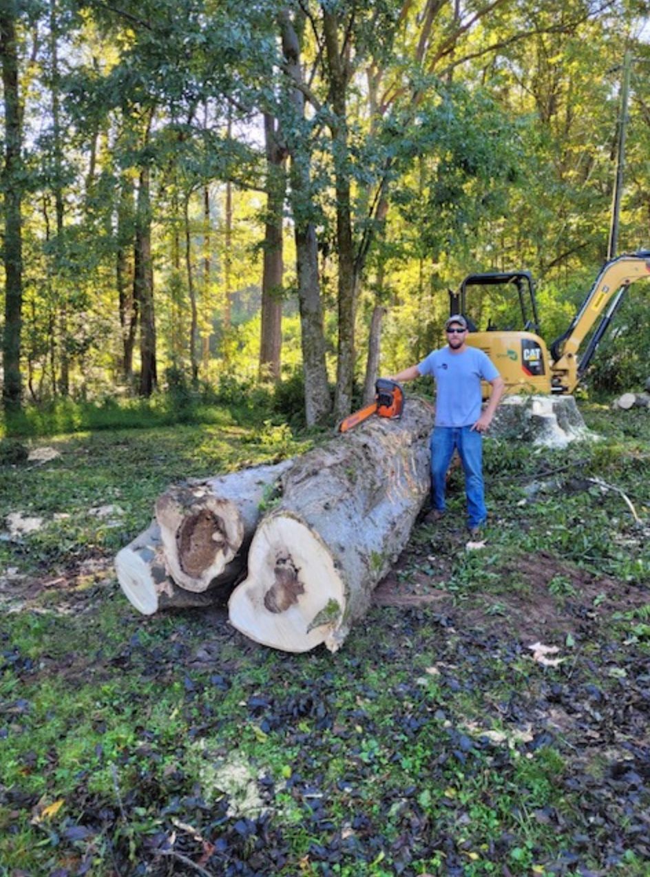 tree services in Chapin, South Carolina Man with chainsaw stands near cut logs and excavator in wooded area.