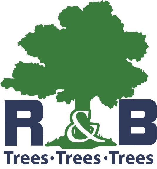 R&B Turf and Tree Service Oklahoma City
