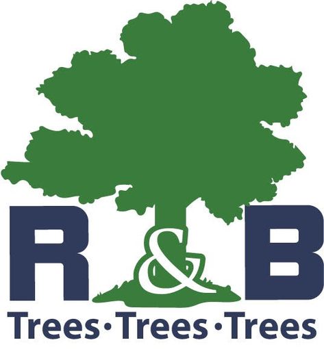 Tree Service Oklahoma City