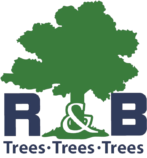 RB Turf and Tree Service Oklahoma City