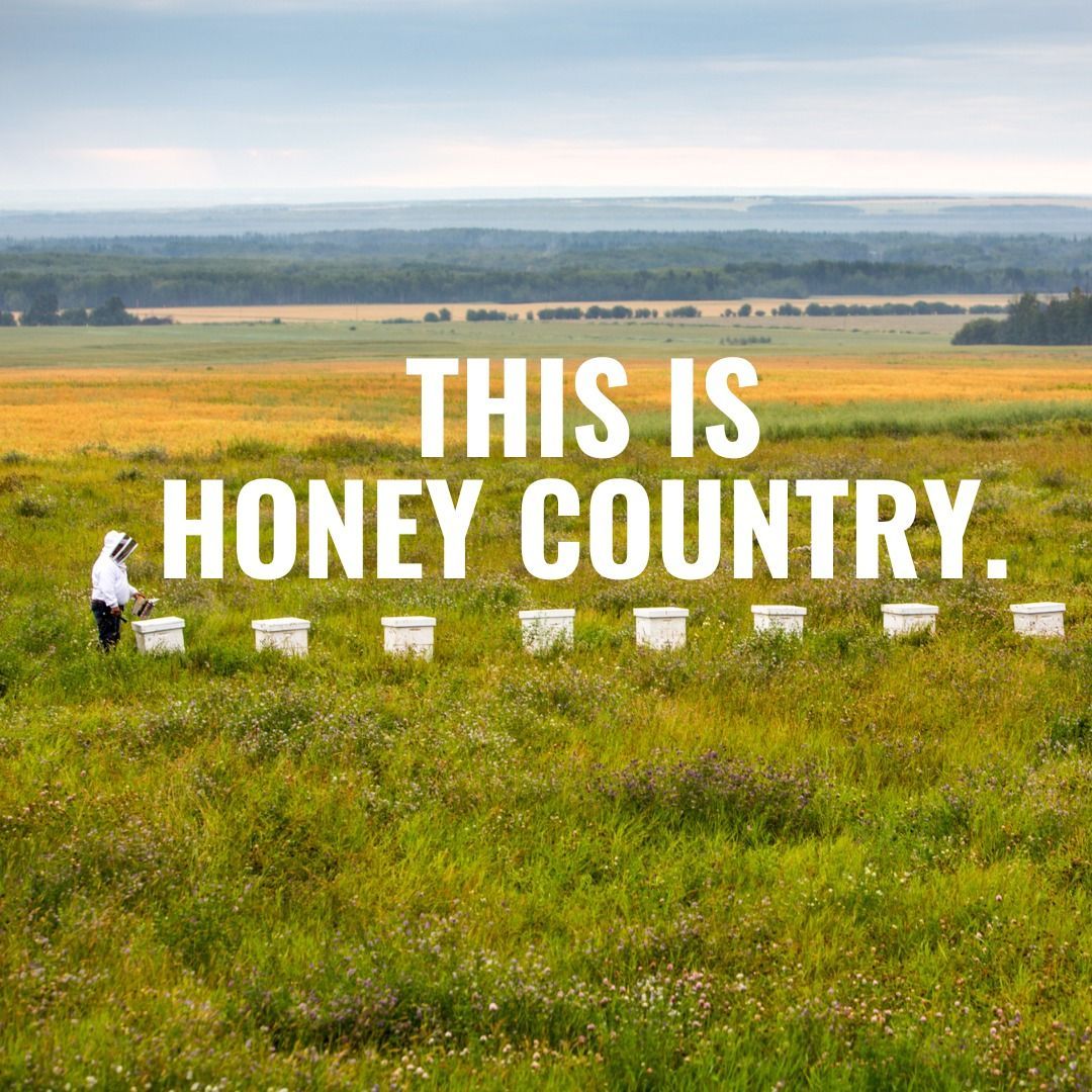 A beekeeper in a protective suit tends to a row of white beehives in a vast, grassy field under a cloudy sky.