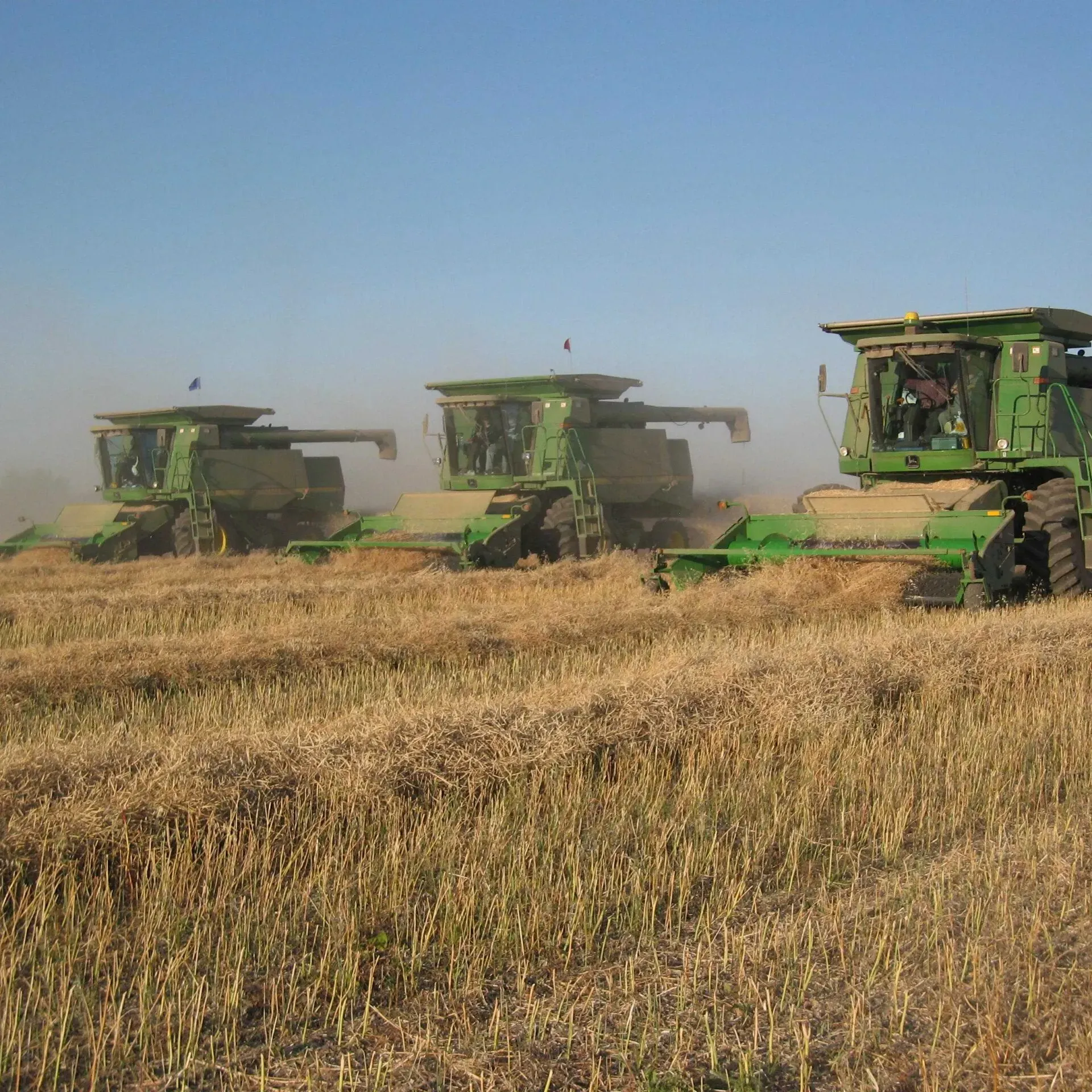Three green John Deere combine harvesters driving through a golden wheat field under a clear blue sky.