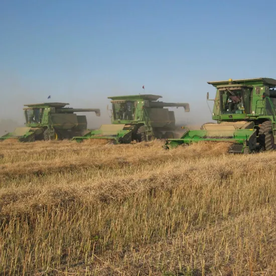 Three green John Deere combine harvesters driving through a golden wheat field under a clear blue sky.