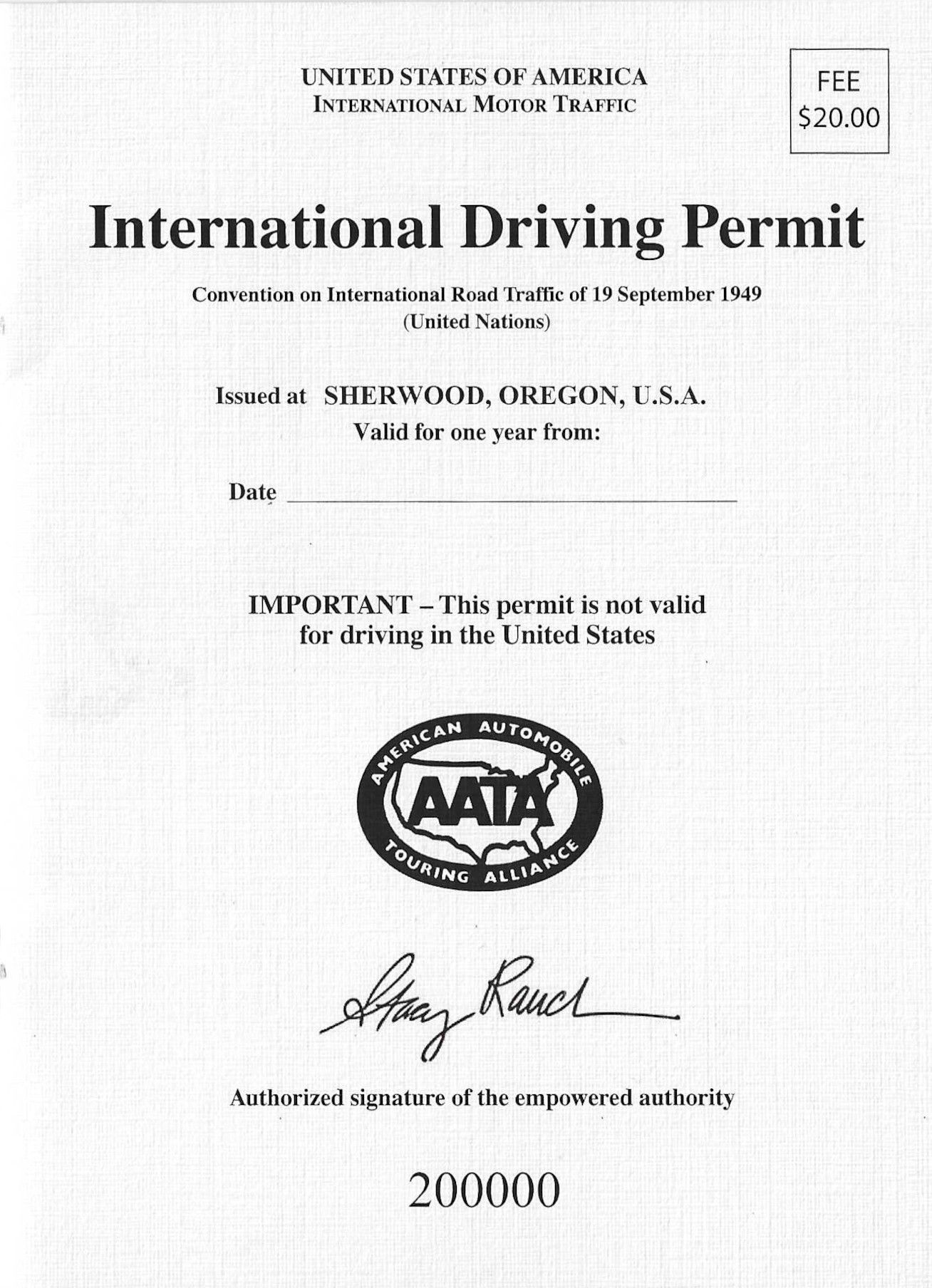 International Driving Permit Example