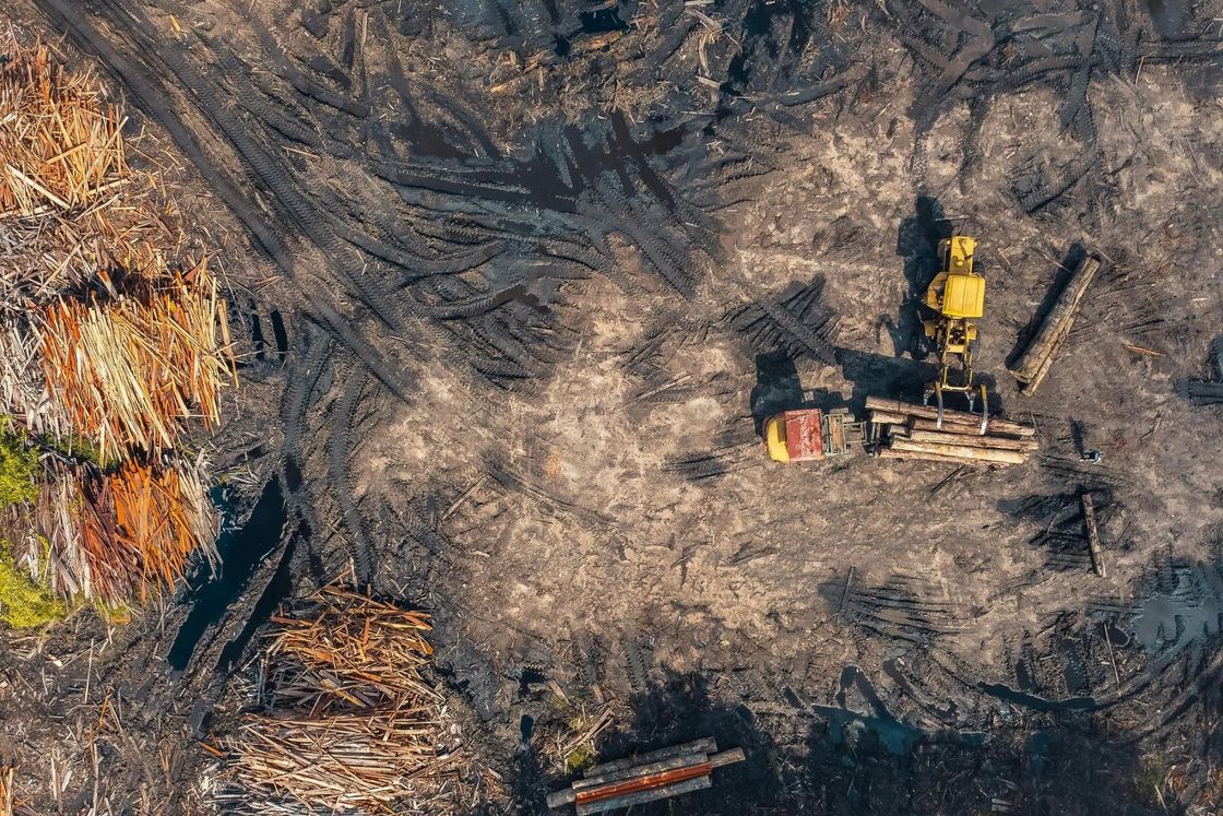 Aerial view of a deforestation site: logs piled, machinery moving logs, and barren earth.