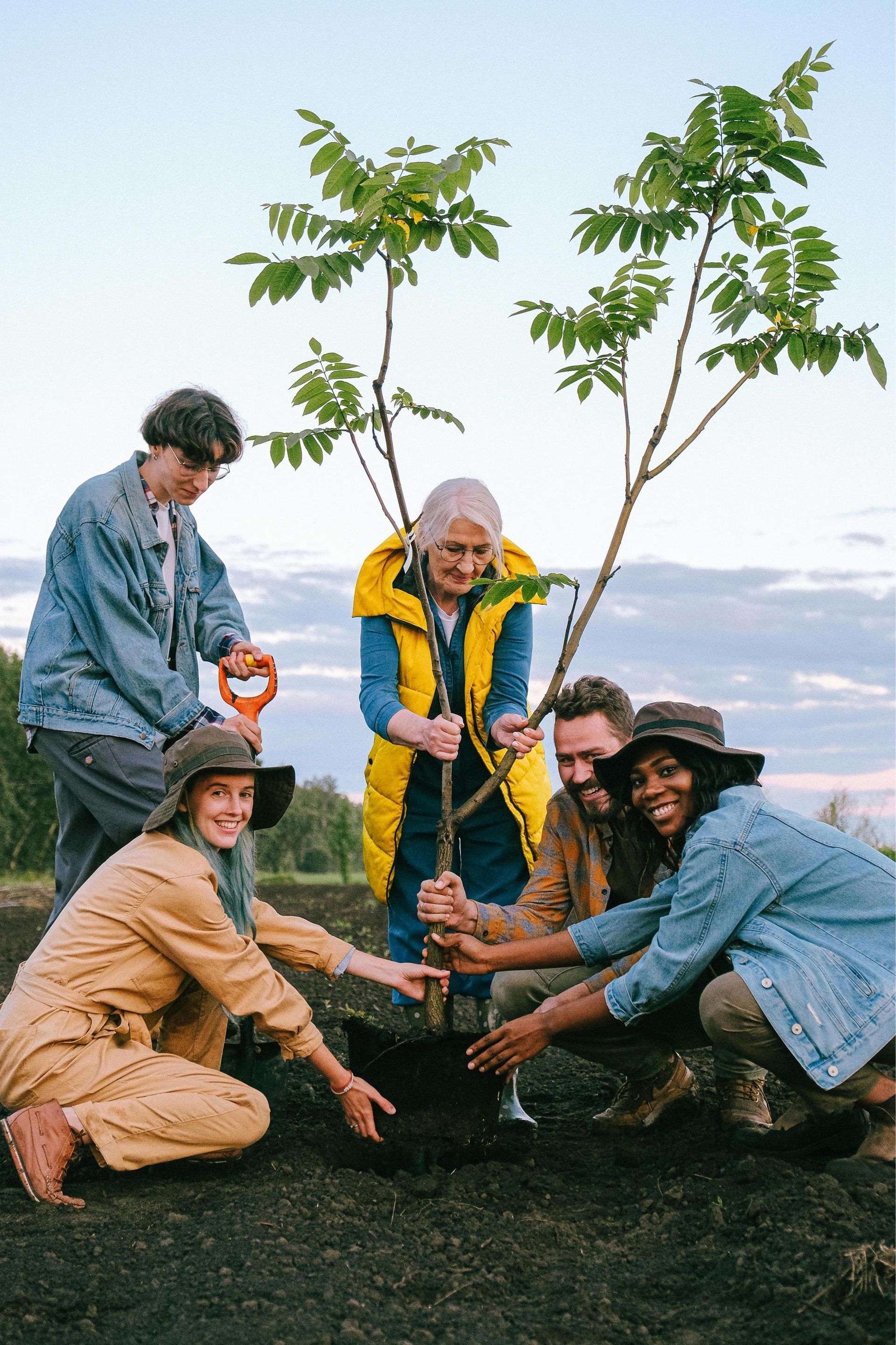 Group of people planting a tree in a field at sunset. They wear casual clothes and smile.