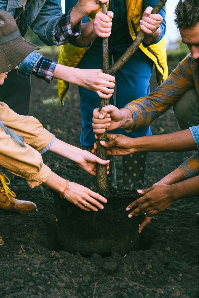 People planting a tree together; hands on a shovel, in dark soil.