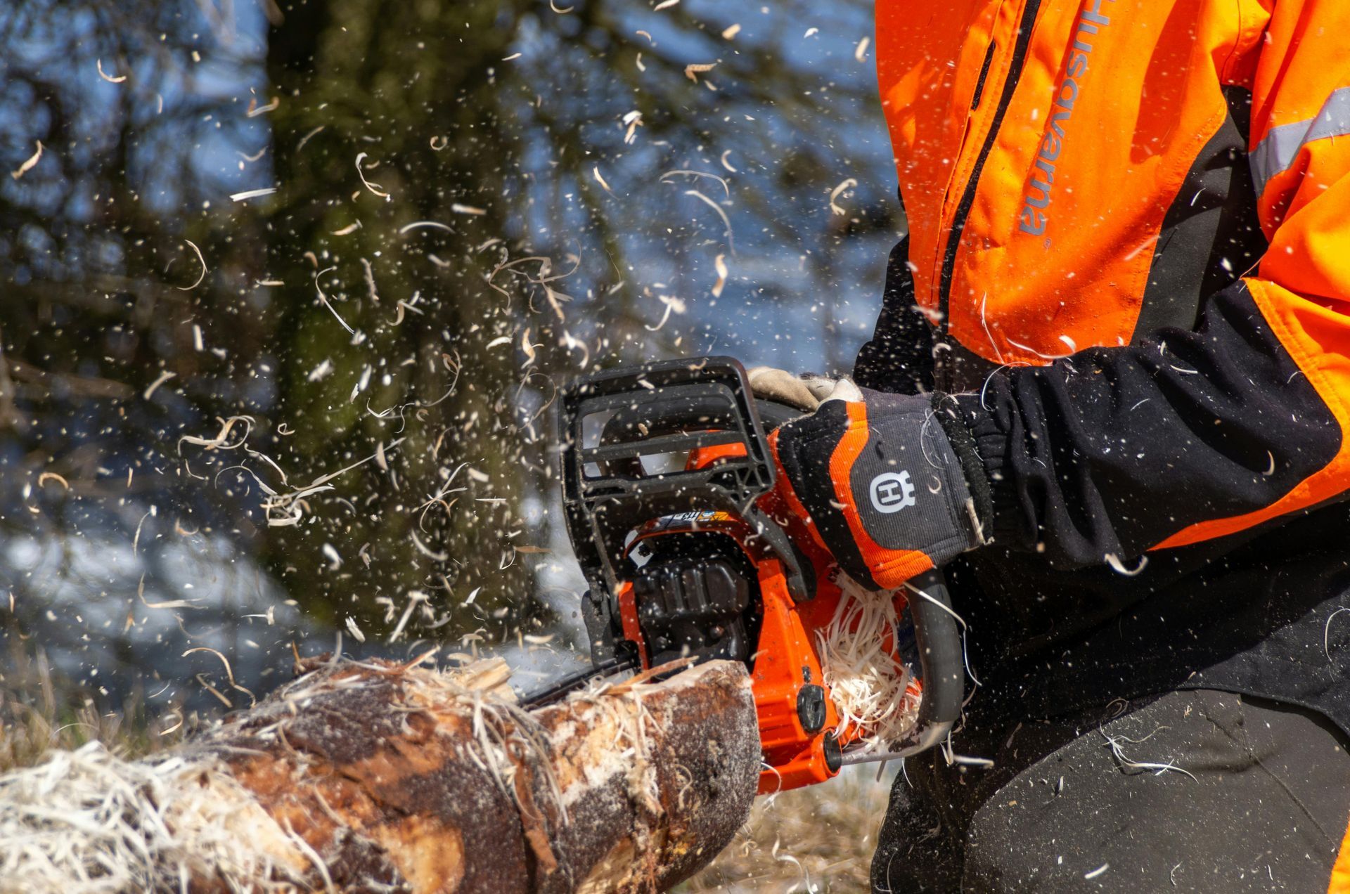 Person in orange safety gear uses a chainsaw to cut a log, wood chips flying.