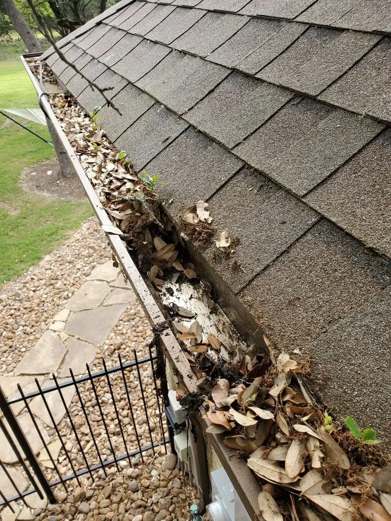 A gutter filled with leaves on the roof of a house.