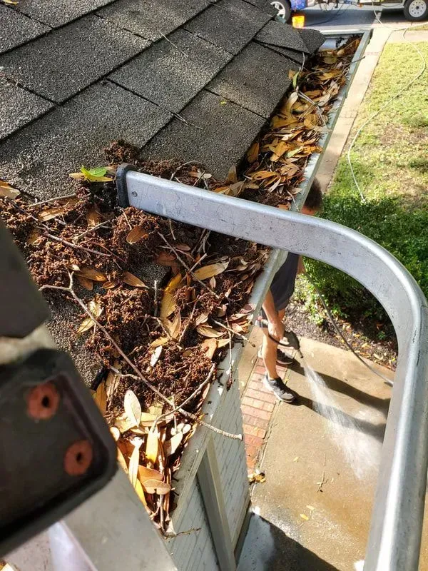 A person is cleaning a gutter with a hose.