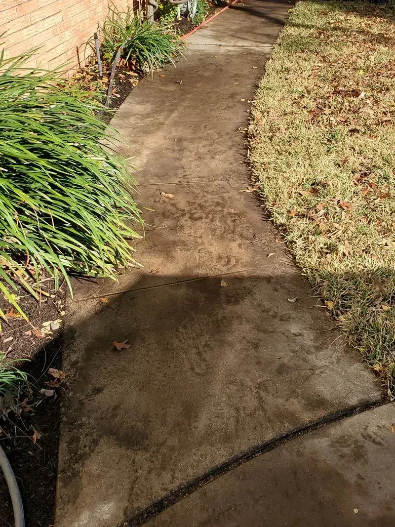 A concrete walkway leading to a house surrounded by grass and bushes.