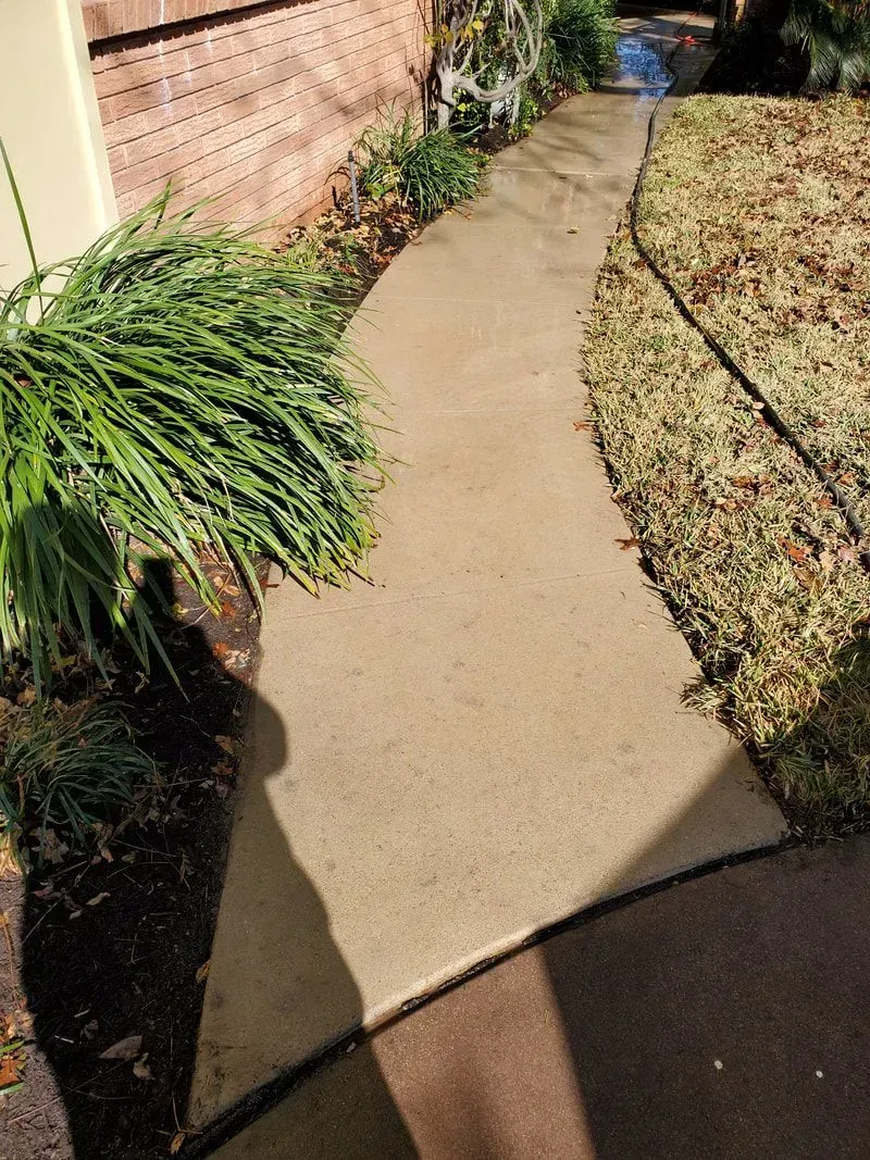 A concrete walkway leading to a house next to a bush.