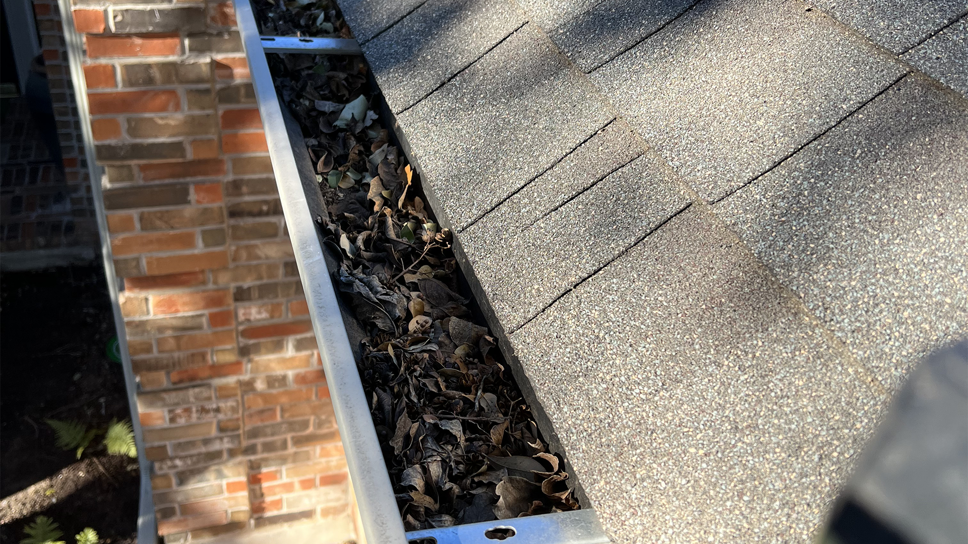 Gutter cleaning and full gutters like this can lead to costly repairs. 