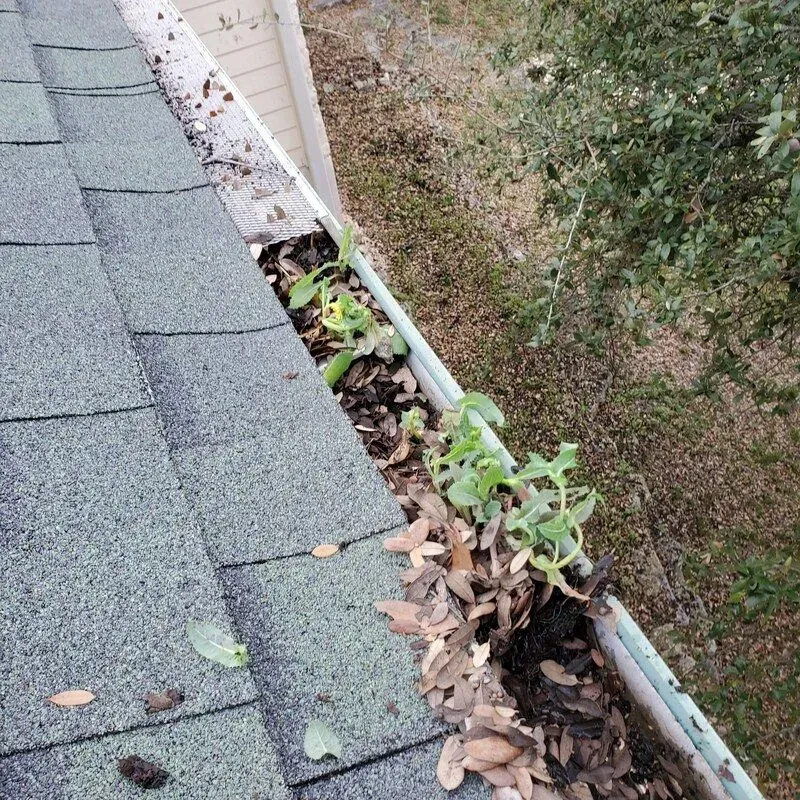 A gutter filled with leaves and dirt on a roof.