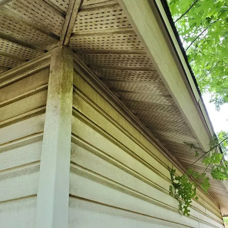 A white house with a roof that is covered in moss.