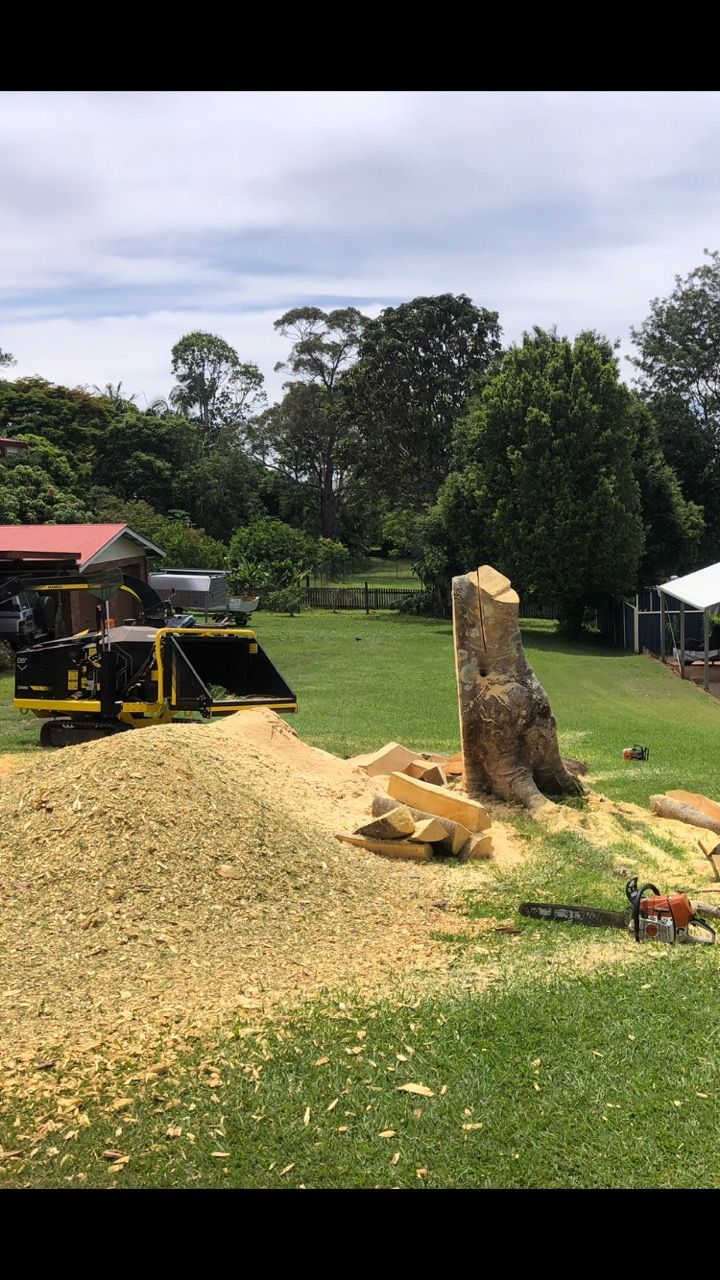 Male Branches Loading Branches Into an Industrial Wood Chipping  — Arborist Servicing in Alstonville, NSW