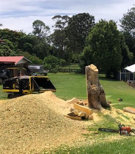 Tree Stump — Arborist Servicing in Alstonville, NSW