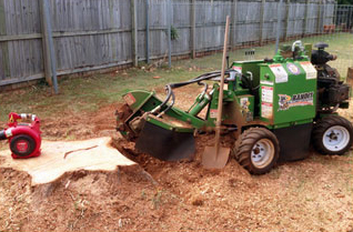 A Stump Grinding Machine Removing Stump — Arborist Servicing in Alstonville, NSW