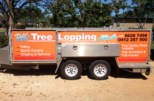 Close Up of Woodcutter Lumberjack — Arborist Servicing in Alstonville, NSW