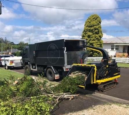 Truck picking up dead trees — Arborist Servicing in Alstonville, NSW