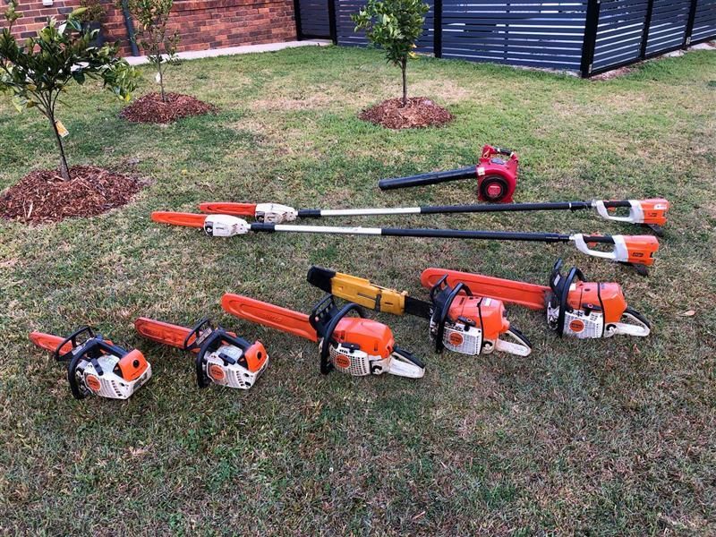 Gardener Pruning a Tree — Arborist Servicing in Alstonville, NSW