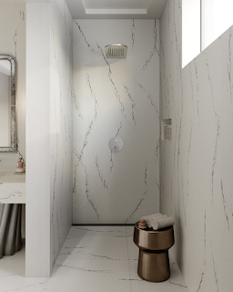 bathroom services