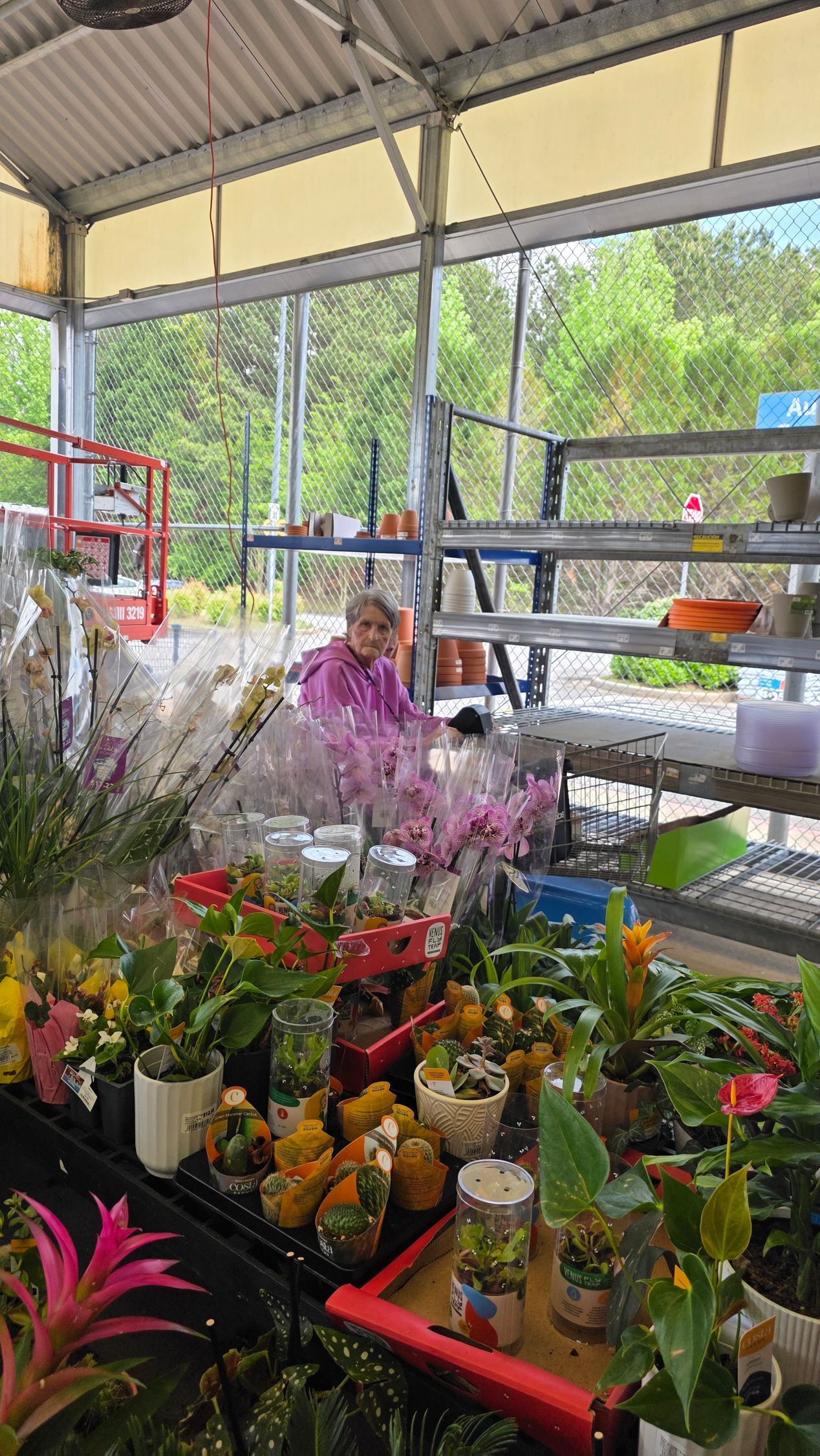 A woman is sitting in a greenhouse surrounded by potted plants.