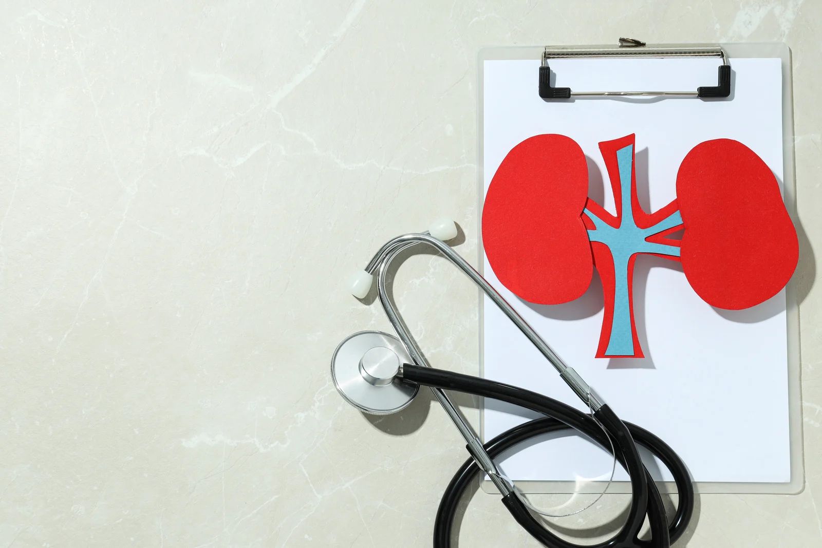 Clipboard with paper kidney illustration and stethoscope on a light surface.