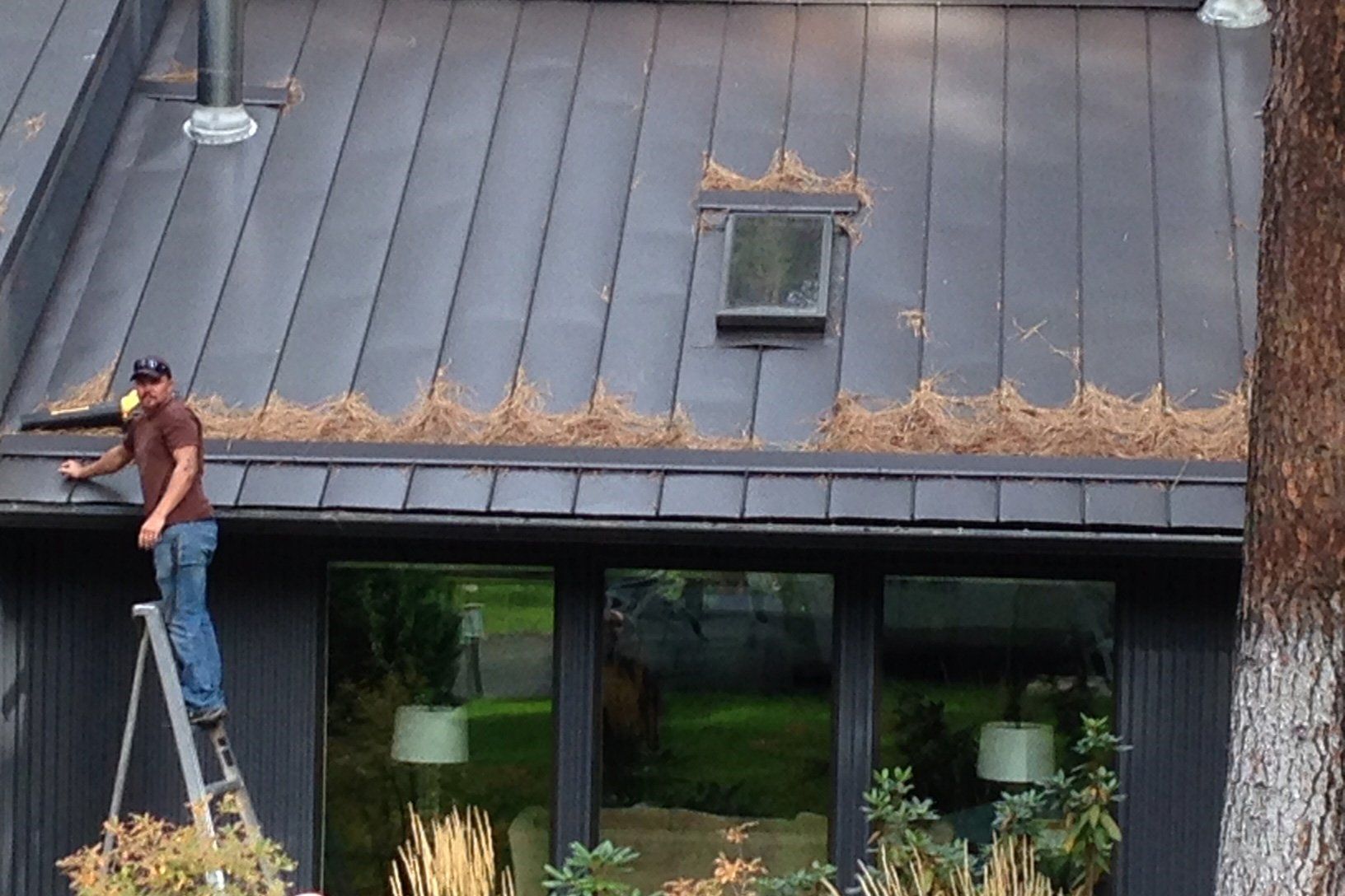 Rainman Seamless Rain Gutters Spokane and North Idaho