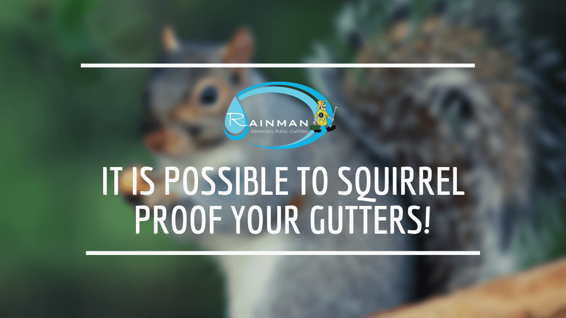 It is Possible to Squirrel Proof Your Gutters!